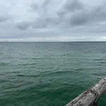Feriehus Ruhiges In Urlaub Nahe Am Zingst